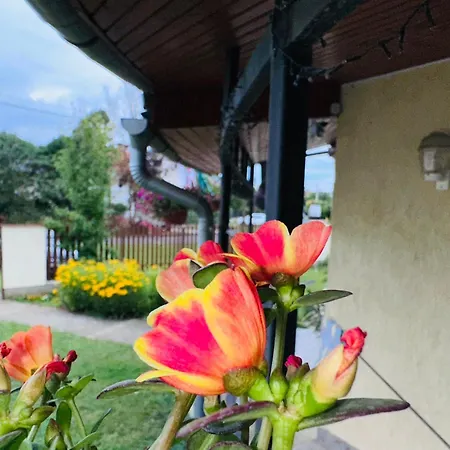 Cozy Garden Apartman Apartman *