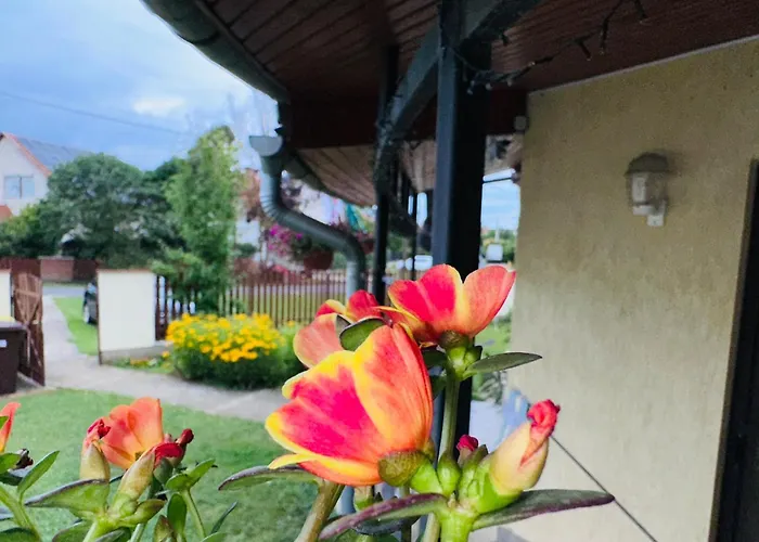 Cozy Garden Apartament *